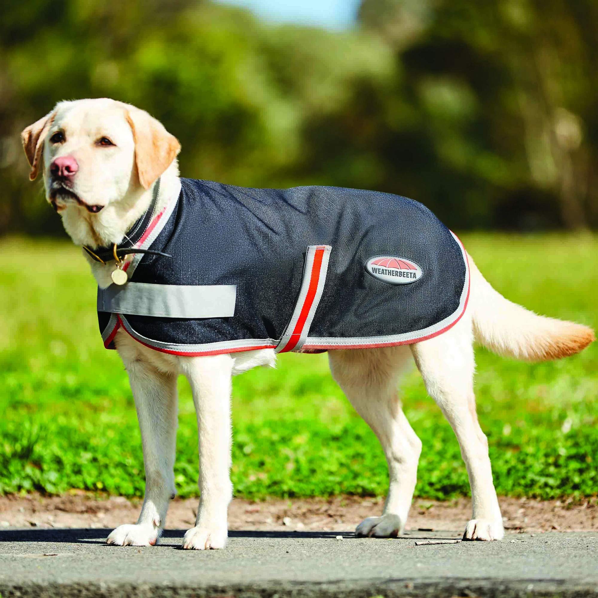 WeatherBeeta ComFiTec 1200D Therapy-Tec Dog Coat, Black/Silver/Red, 25cm - Image 2