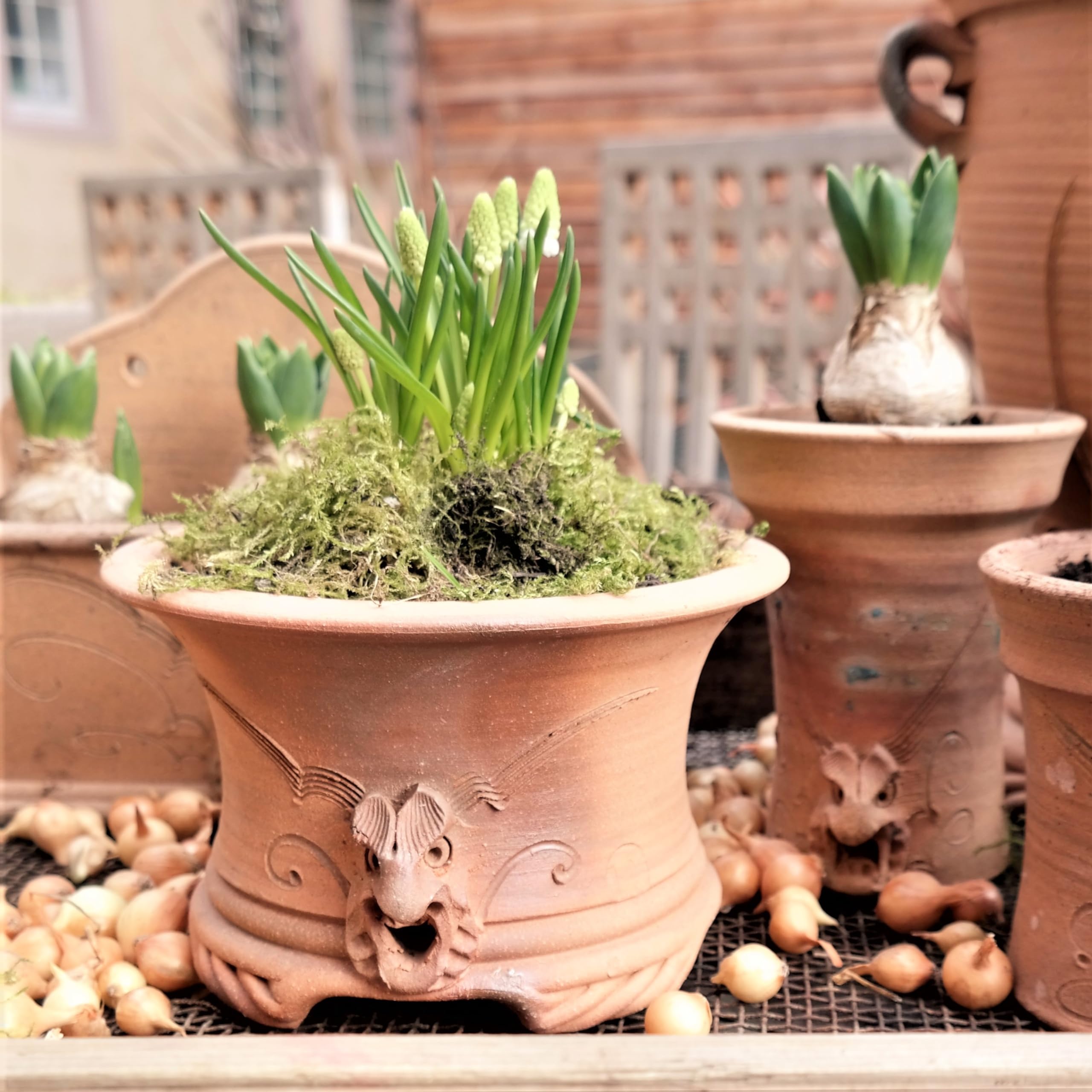 Palatina Werkstatt Pot de fleurs en terre cuite fait à la main avec anse - Pot de fleurs pour jardin, appartement et fleurs en terre cuite (M)