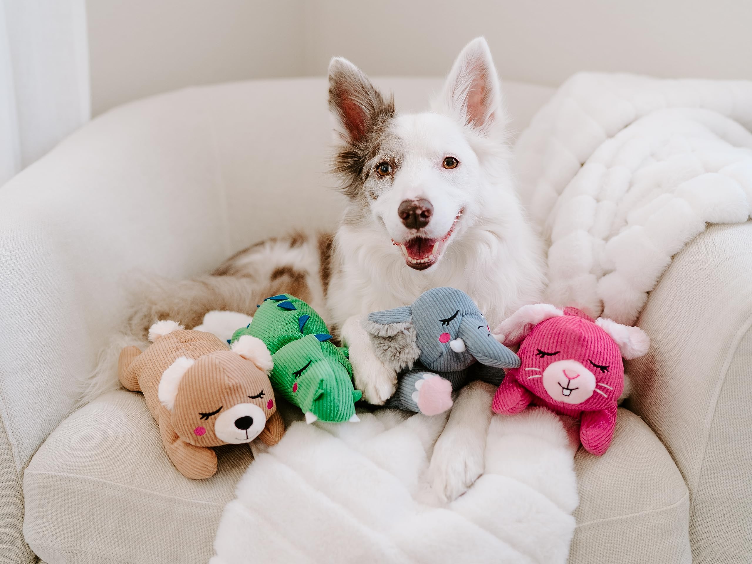 ZippyPaws Snooziez Häschen Mit Shhhqueaker – Leises Quietschspielzeug Für Hunde, Kuschelig, 24 Stück Pro Karton