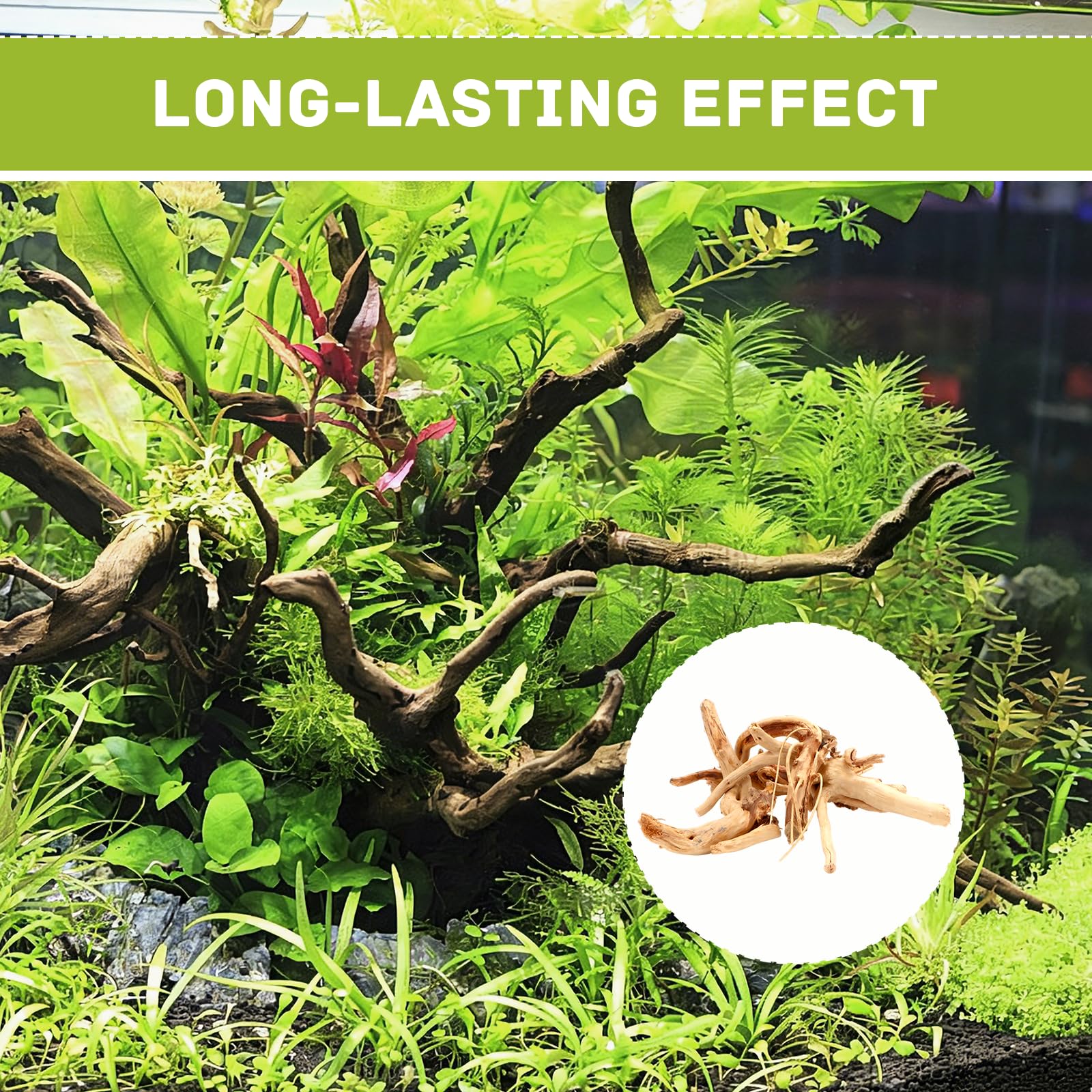 4 pezzi radice di muschio, acquario, radice di acquario, legno naturale, decorazione per legni da 10 a 15 cm, forma casuale, piccolo ornamento per aquascaping rettili, decorazione per interni