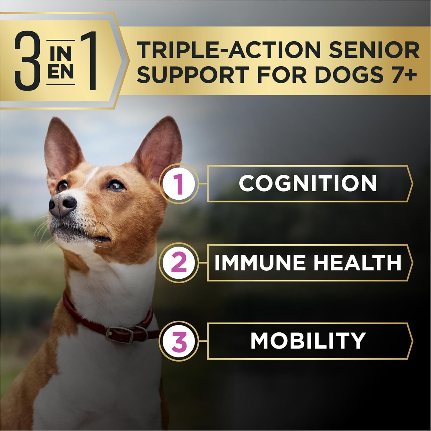 Purina Pro Plan AdvantEDGE Senior Support Plus Small Breed Shredded Blend Chicken and Rice Formula Dry Dog Food - 12 lb. Bag