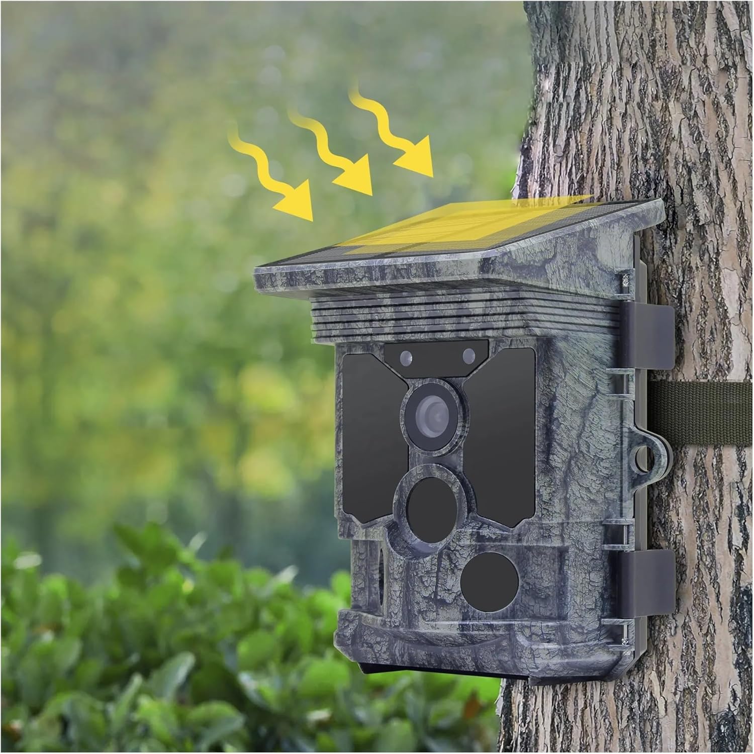 YUTEEO Rd7010wf Camera mounted on a tree with solar panel charging