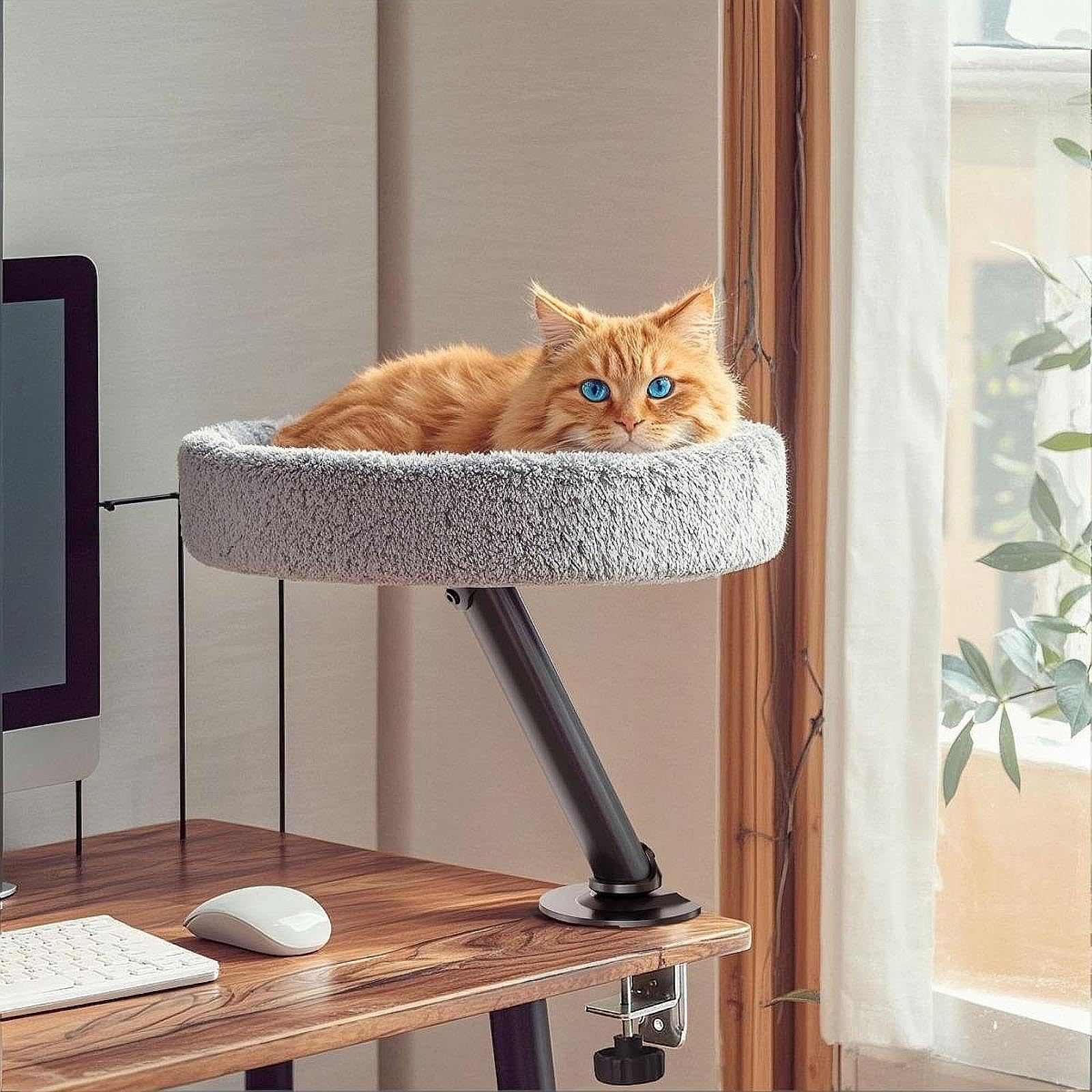 Cat Bureau de Bureau Chats Hamacs Sauvegarde des Meubles pour Chaton, lit de Chat de Bureau, surélevé, Nid de Rotation à 360 ° pour Salle