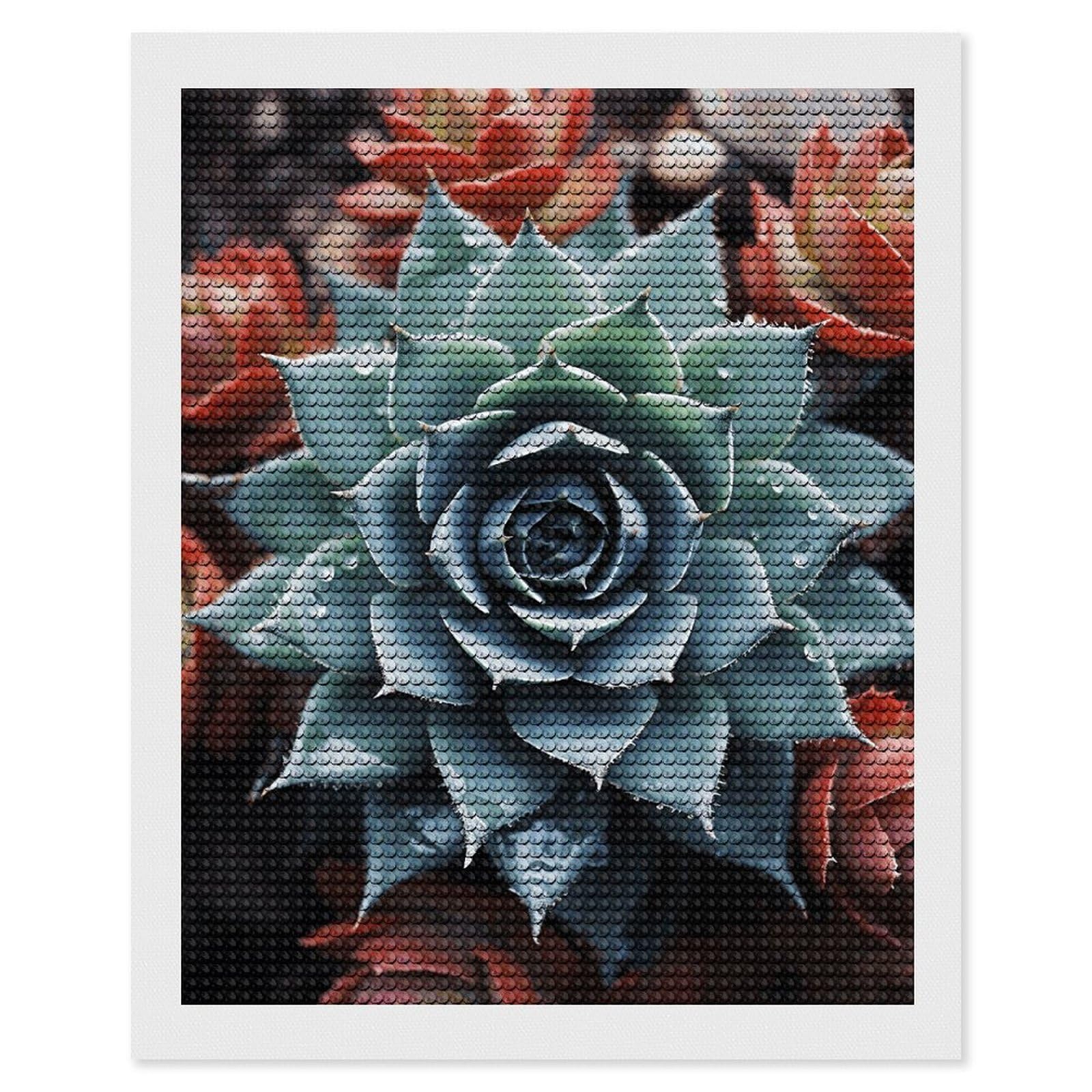 NONHAI Diamond Painting Kits for Adults - DIY Diamond Art Kits for Beginners - Full 5D Paint Drill Diamond Dots Paintings- Succulent Plant Diamonds Pictures Gem Art and Craft Wall Decor 16"x20"