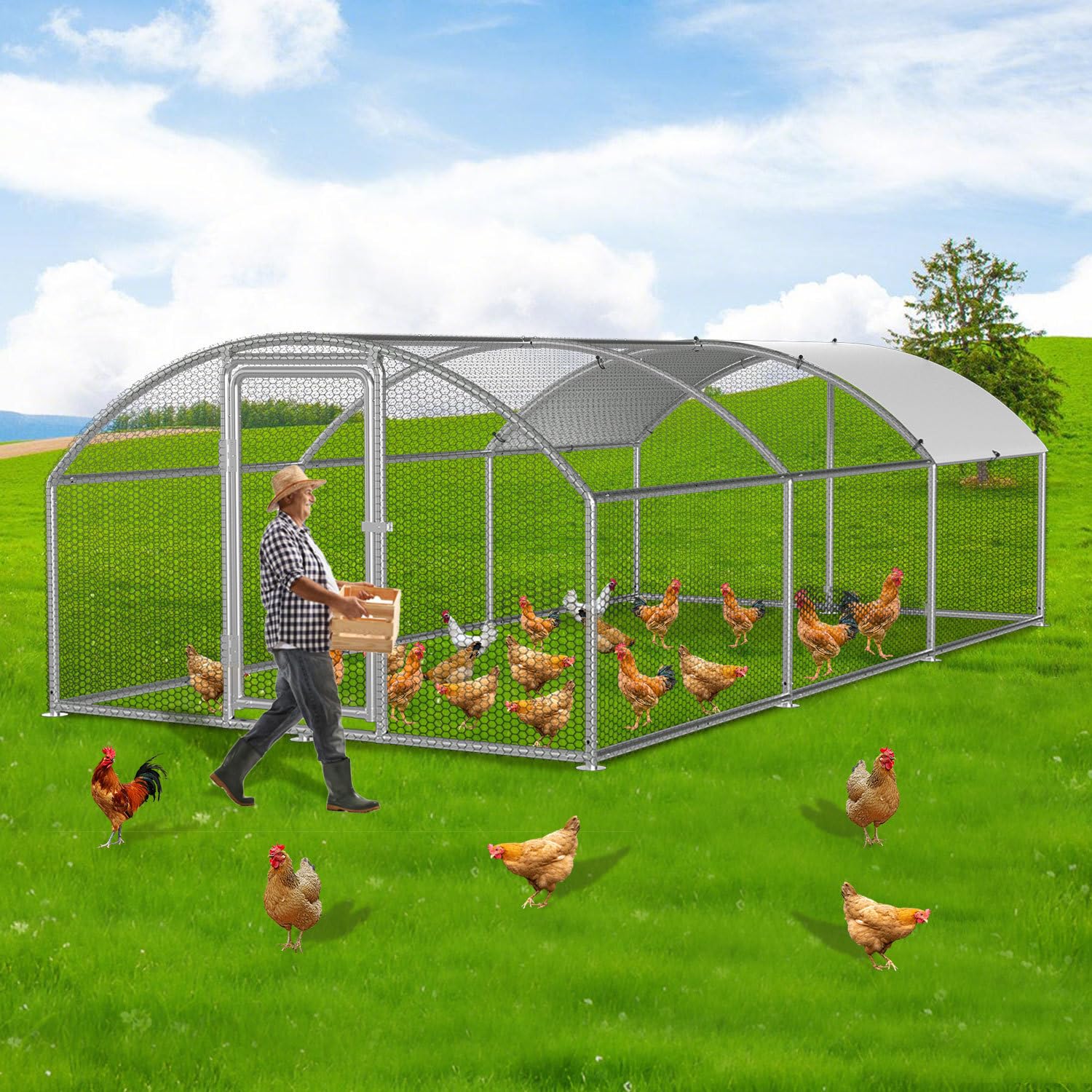 Gallinero de 3 x 6 x 2 m, recinto para gallinas, gallinas, acero galvanizado, para gallinas, caseta de conejo, cúpula, tejado, ganso, palomas y codornices, recinto de metal con red