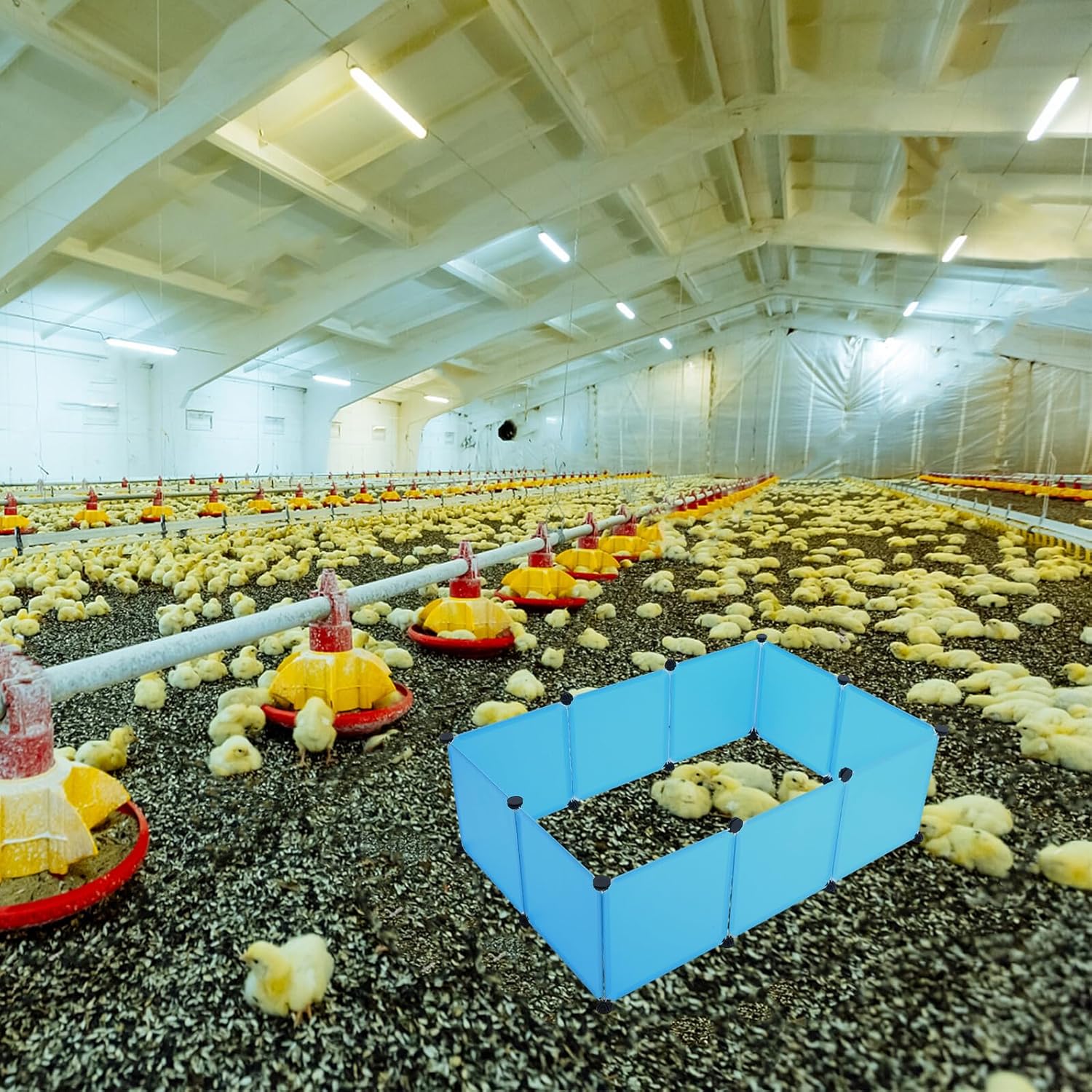 Gadpiparty 10pcs Large Chick Brooder Box Playpen with Blue Embossed Panels and Black Clips, Small Pet Safety Fence for Indoor Rabbit, Duck, Hamster, Bunny Enclosure