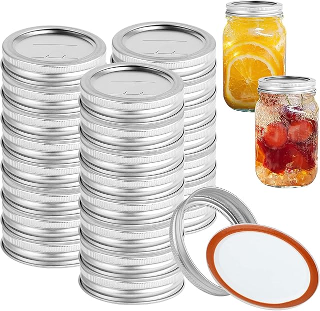 EEEKit Mason Jar Lids,24 Set 70mm Reuseable Metal Canning Lids,Rustproof Mason Jar Lid with Removable Discs and Silicone Seals Rings for Drinking and Food Storage(24 Lids and 24 Bands,Silver)