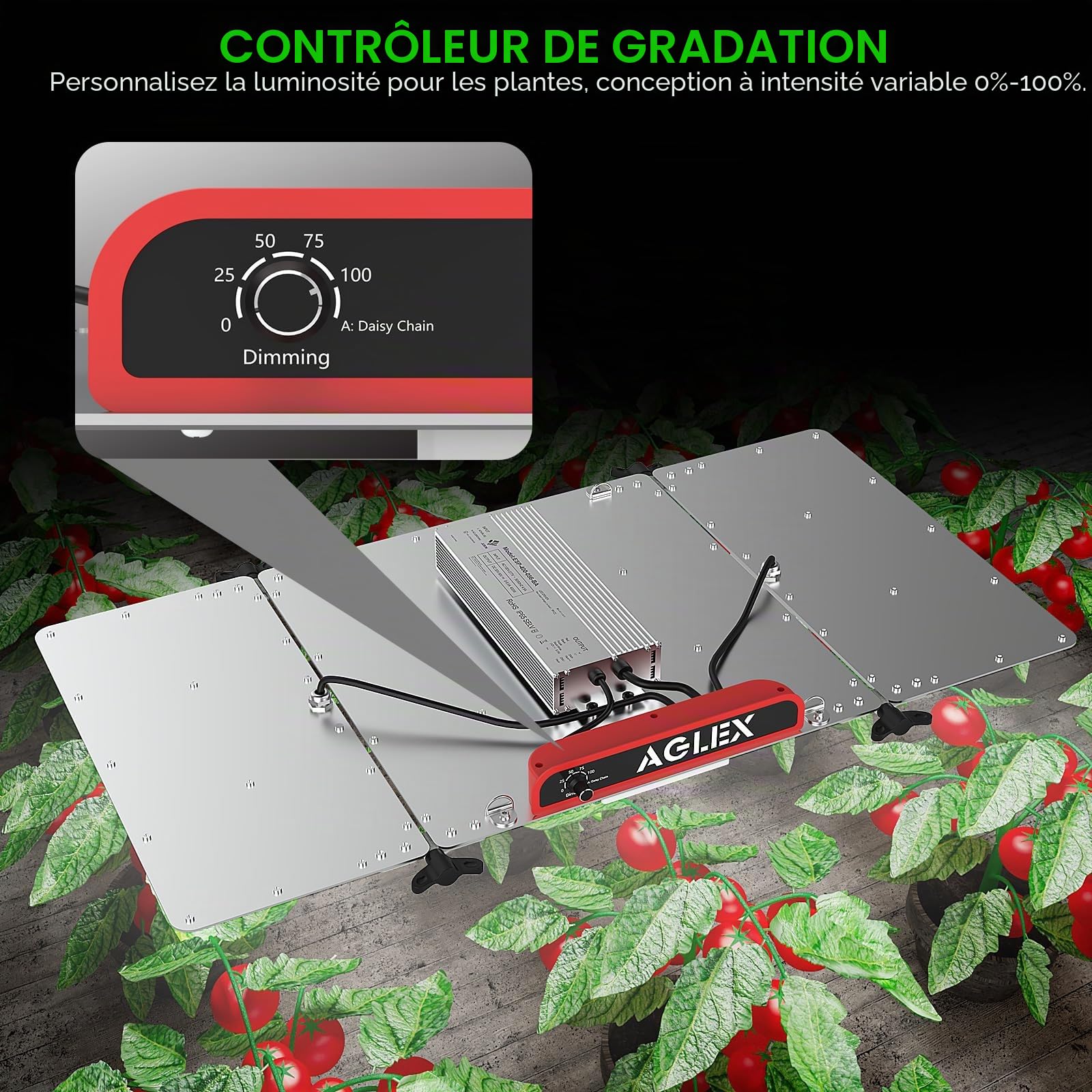 AGLEX Lampe de Culture LED 4000W, Spectre Complet avec UV IR, Éclairage LED pour Plantes en Croissance, Semis, Floraison, Lampes de Croissance 5X6 FT de Couverture avec Daisy Chain & Variateur