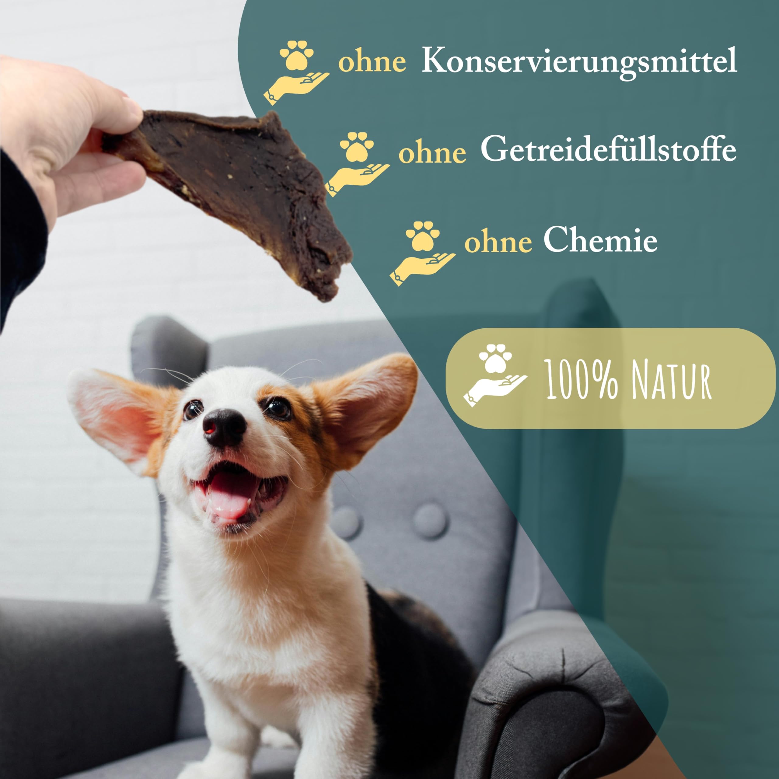 Deshidrato de ternera para perros | 2,5 kg | carne de perro deshidratada | 100% carne de res | carne de vacuno natural y seca | baja en grasa y rica en proteínas | carne seca de ternera de Wuffsnacks