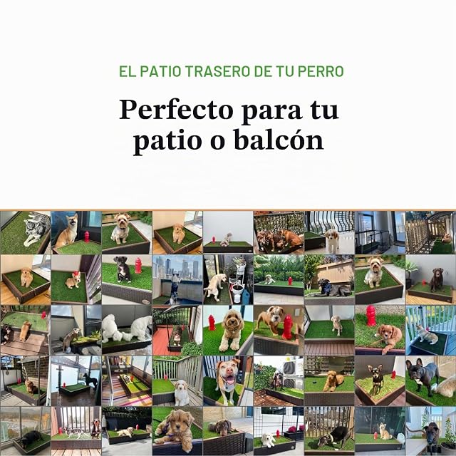 Foto 4 de 4 de Porch Potty Premium Dog Potty Pads