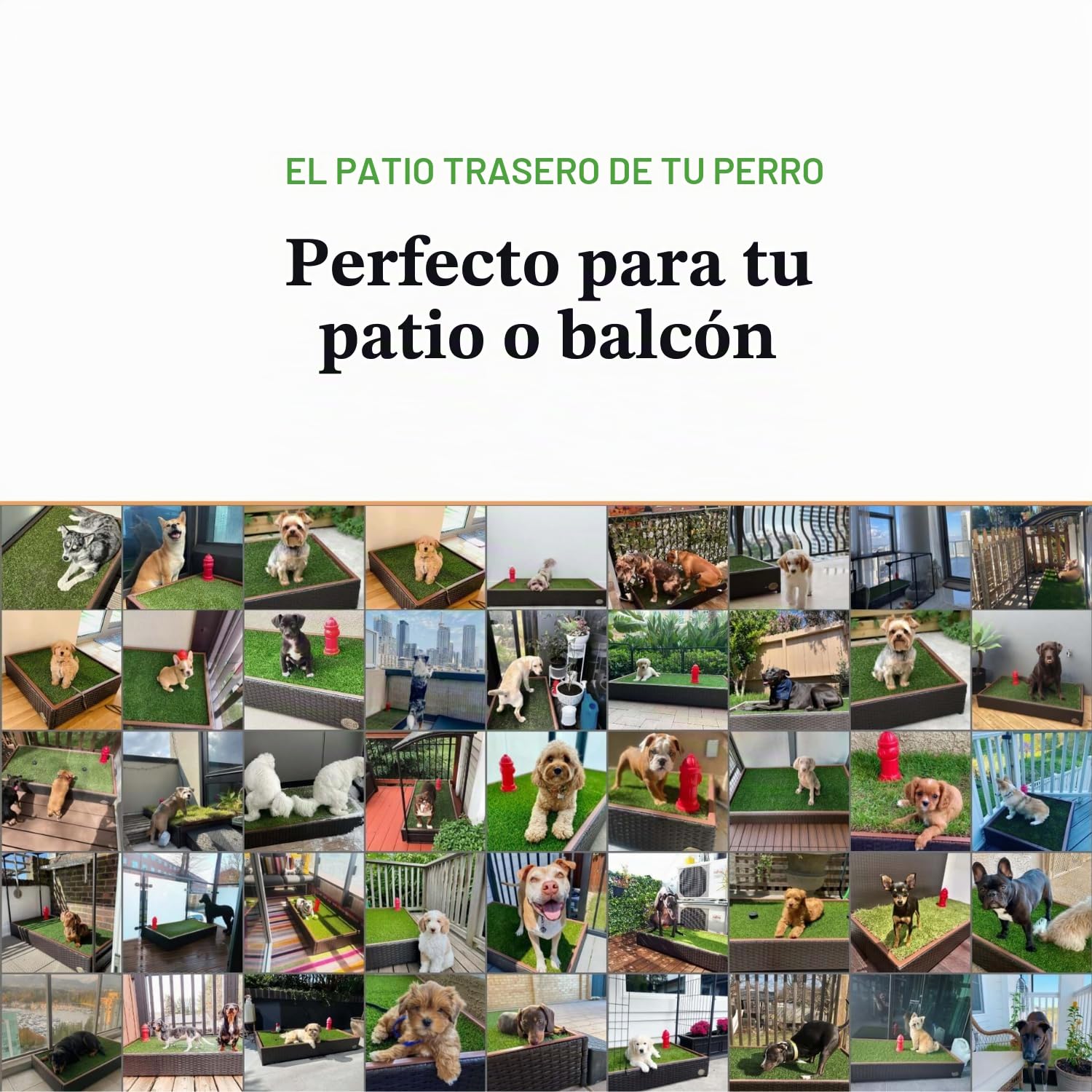 Porche orinal estándar: # 1 venta hierba basura caja para perros