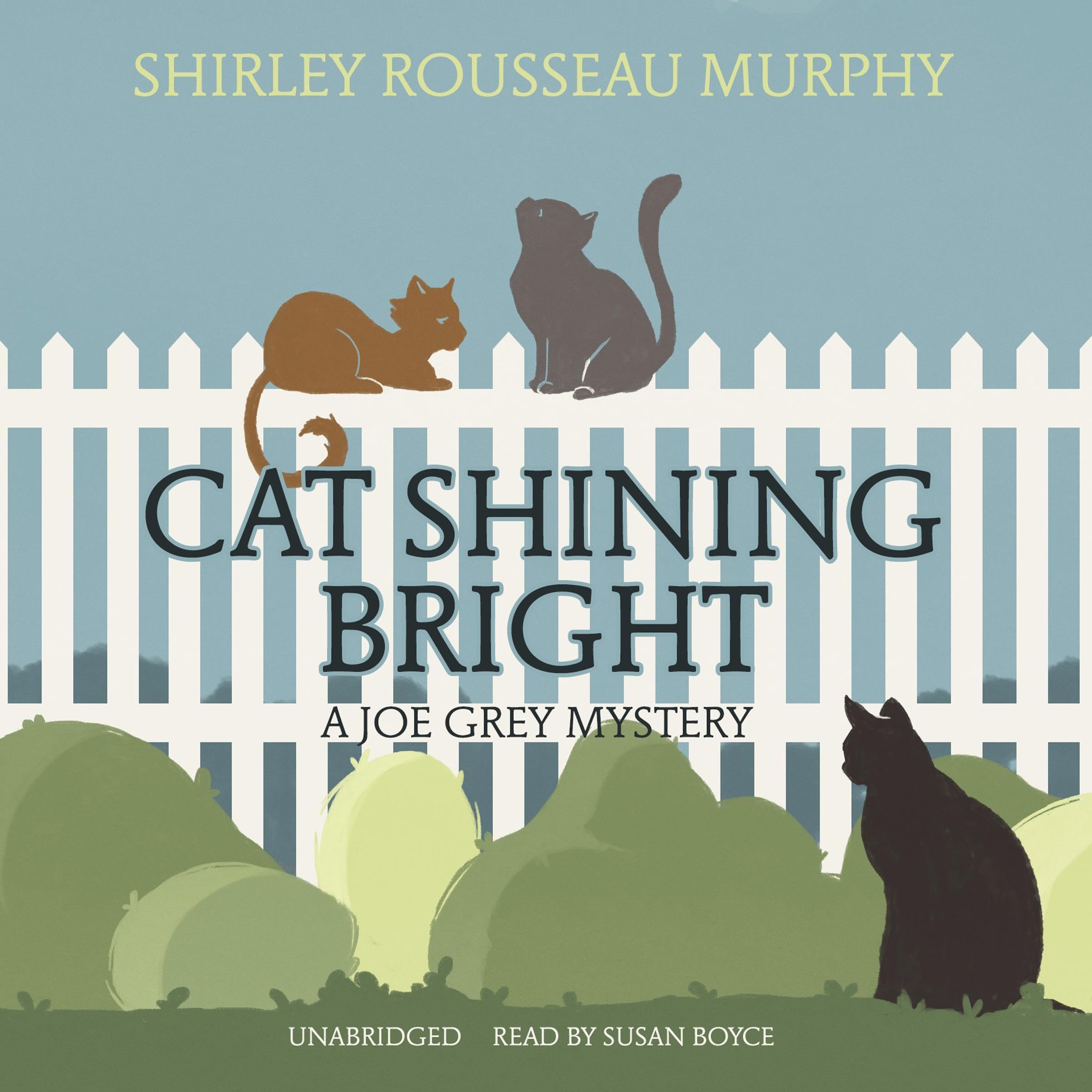 Cover art for Cat Shining Bright