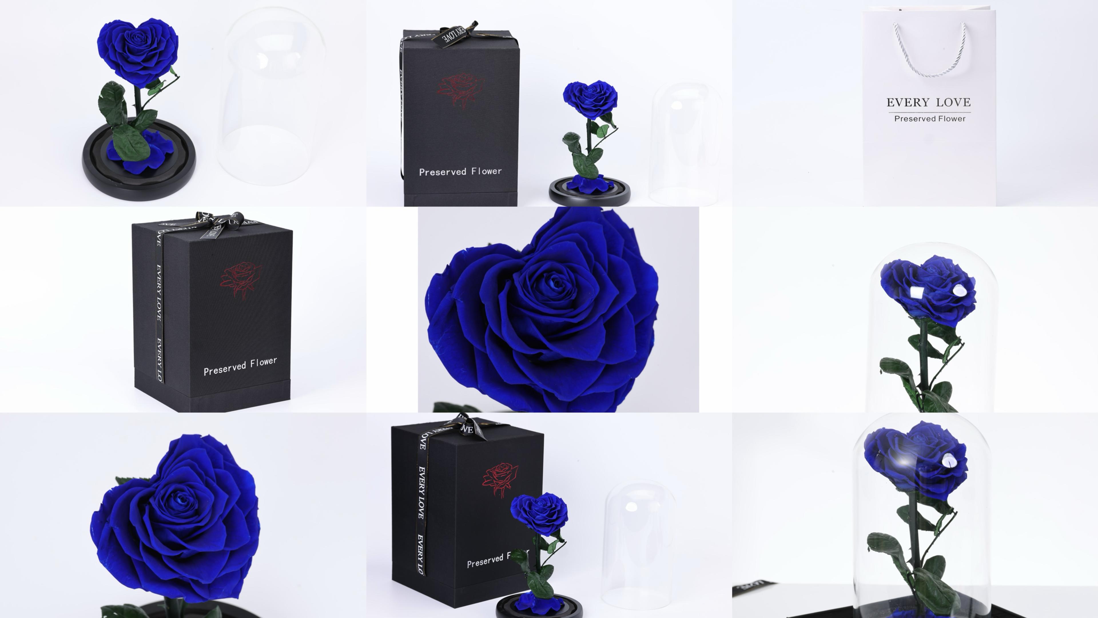 Rosa preservada real en cúpula de vidrio con forma de corazón miniatura 7