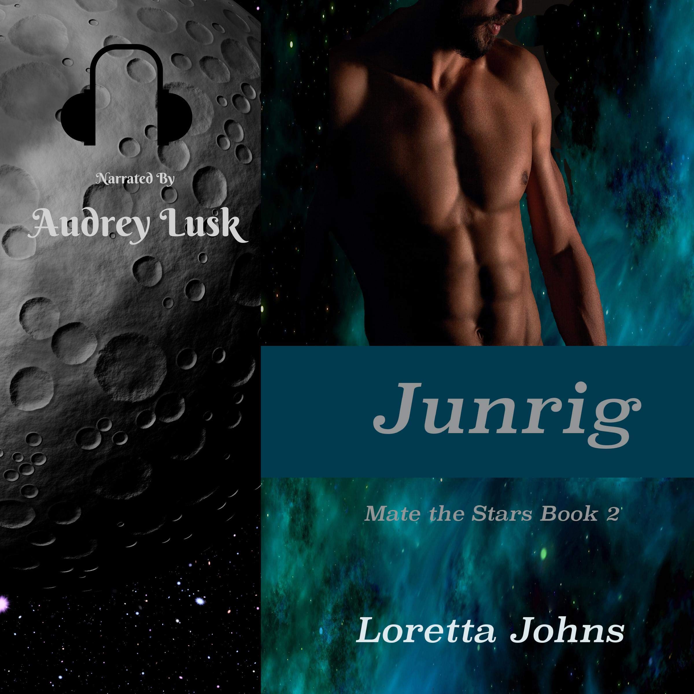 Cover art for Junrig