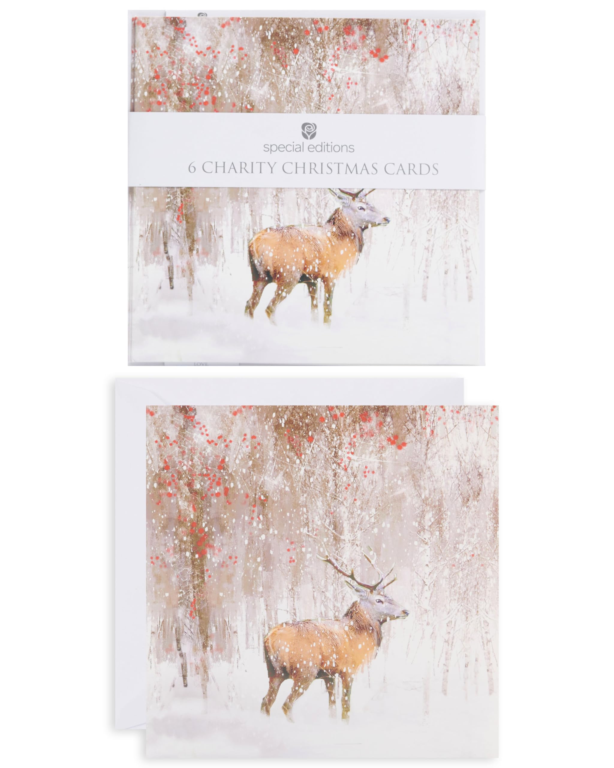 Pack Of 6 Winter Woodland Stag Charity Christmas Cards Multiple Charities