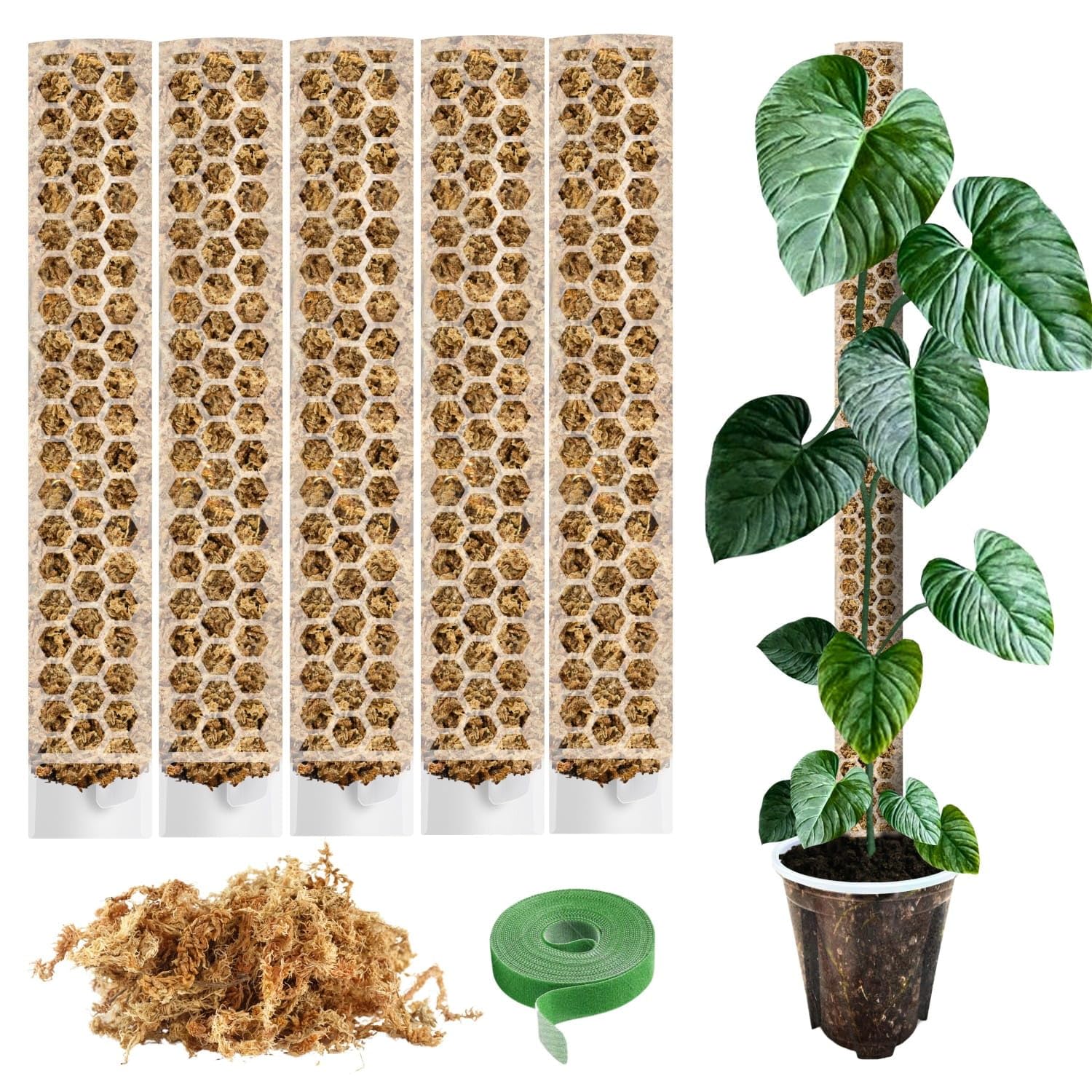 PlantScraper Moosstab fr Monstera 5 Stck 39 x 6 cm - Erweiterbare  Rankhilfe & Zubehr-Set - Pflanzstbe mit Pflanzen-Klettband & Moos -  Optimiert fr Aroiden - Befestigung fr Kletterpflanzen : Amazon.de: Garten