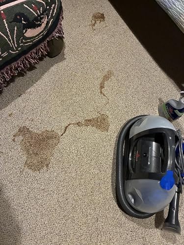 Review Image by MorningWoodCabin