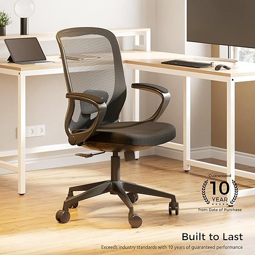 Miniatura 3 de EUREKA ERGONOMIC Armis Ergonomic Office Chair with Back Support Flip up Arms, Home Office Desk Chair for Space Saving, Black, Breathable Backrest