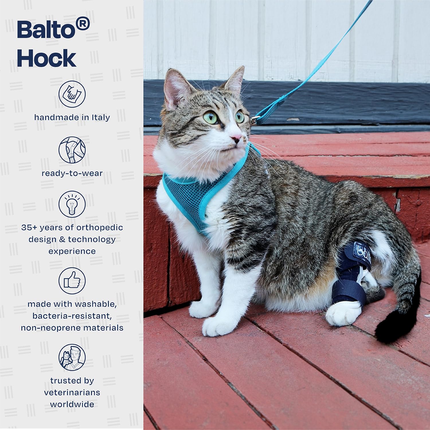 Balto Corvejón felino – Tobillera para gato – Soporte con férulas de aluminio – Pre/Post cirugía ayuda a apoyar la artritis y articulaciones inestables – Soporte de pierna trasera (extra pequeño)