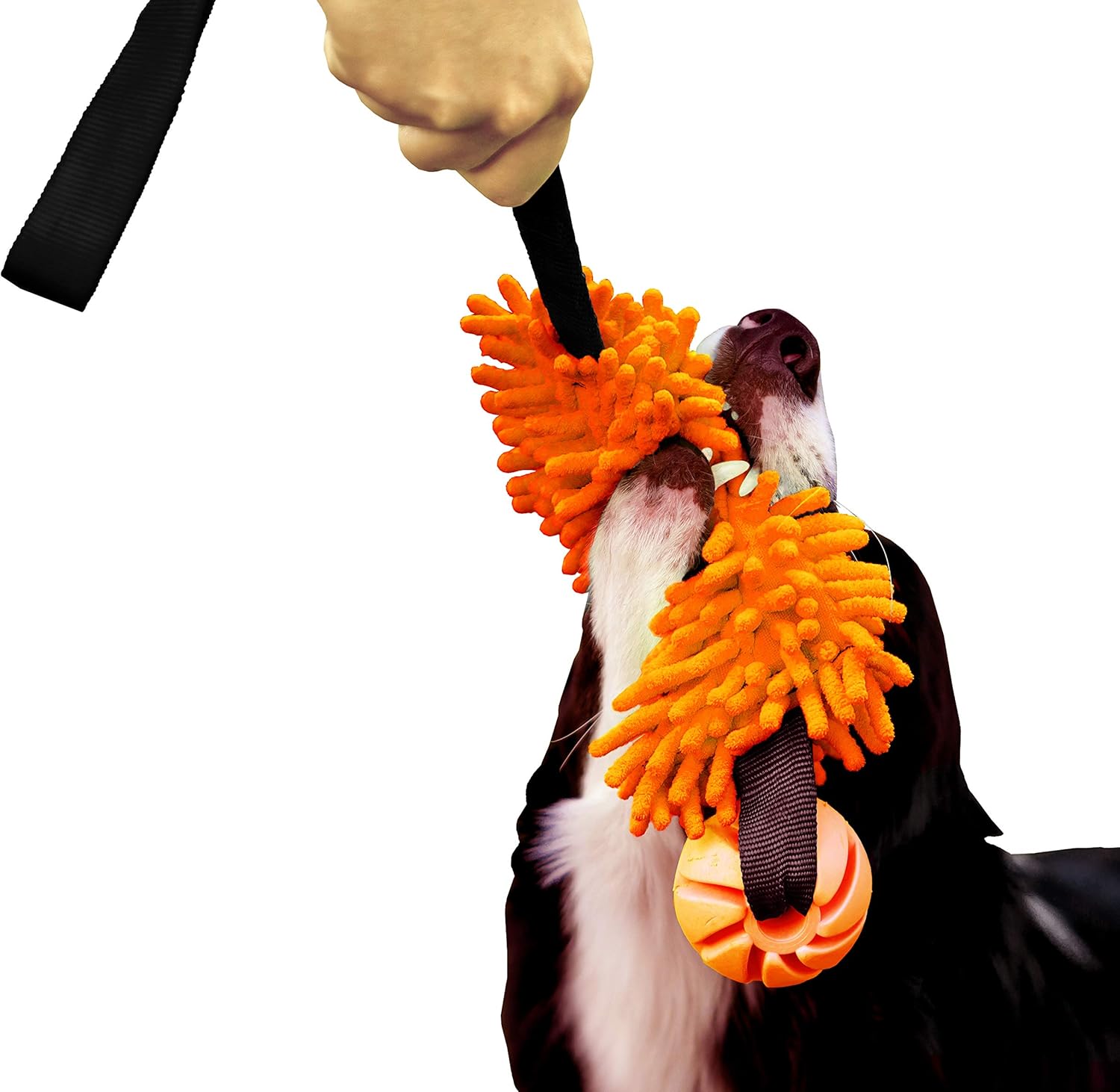 DINGO Floatable Tug Toy with a Flavoured Ball and... 17 DINGO Floatable Tug Toy with a Flavoured Ball and...