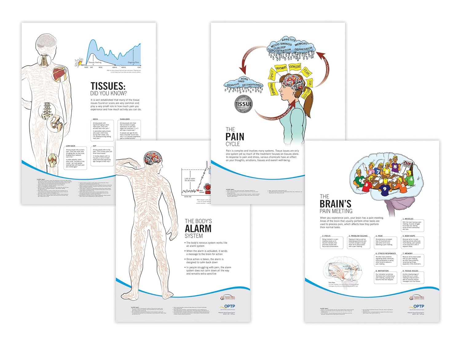 Pain Neuroscience Posters (876SET) Amazon.co.uk Adriaan Louw