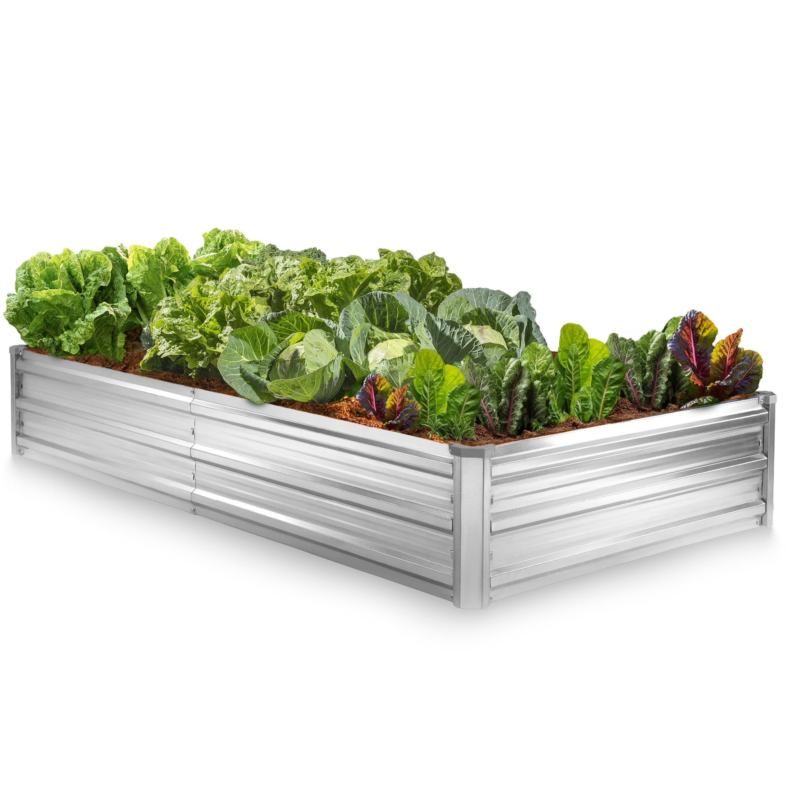 Plant & Plot Raised Garden Bed
