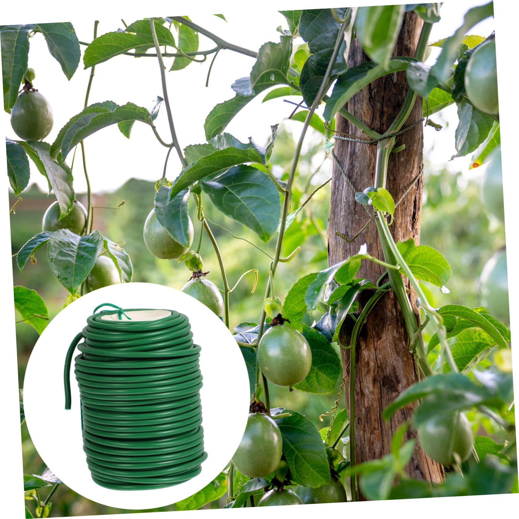 Hemobllo Fascette Stringicavo per Giardinaggio in TPR e Fissaggio Piante e Resistente e Duraturo Adattabile per Versatile