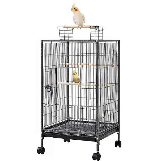 36-Inch Elegant Sturdy Wrought Iron Open Play Top Bird Flight Cage with Rolling Stand for Small-Sized Parrot Parakeets Cockatiels Budgies Parrotlets Lovebirds Canary