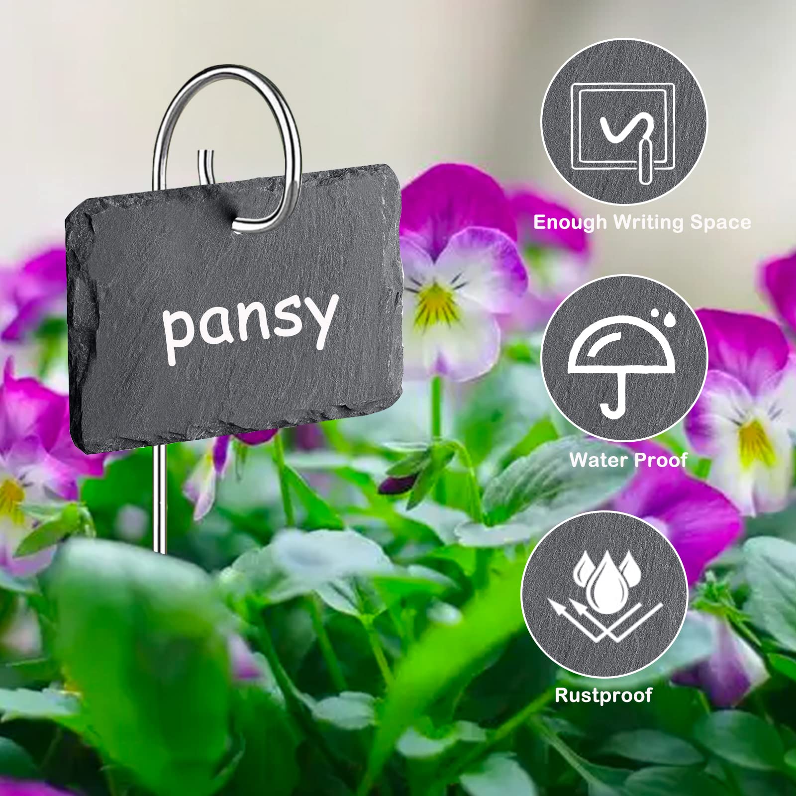 Tabliczki na rośliny, 10 sztuk, łupek, 10 x 8 cm, na zioła, odporne na warunki atmosferyczne, z 10 prętami ze stali nierdzewnej i 2 kredami do opisywania roślin, ziół, prostokątnych