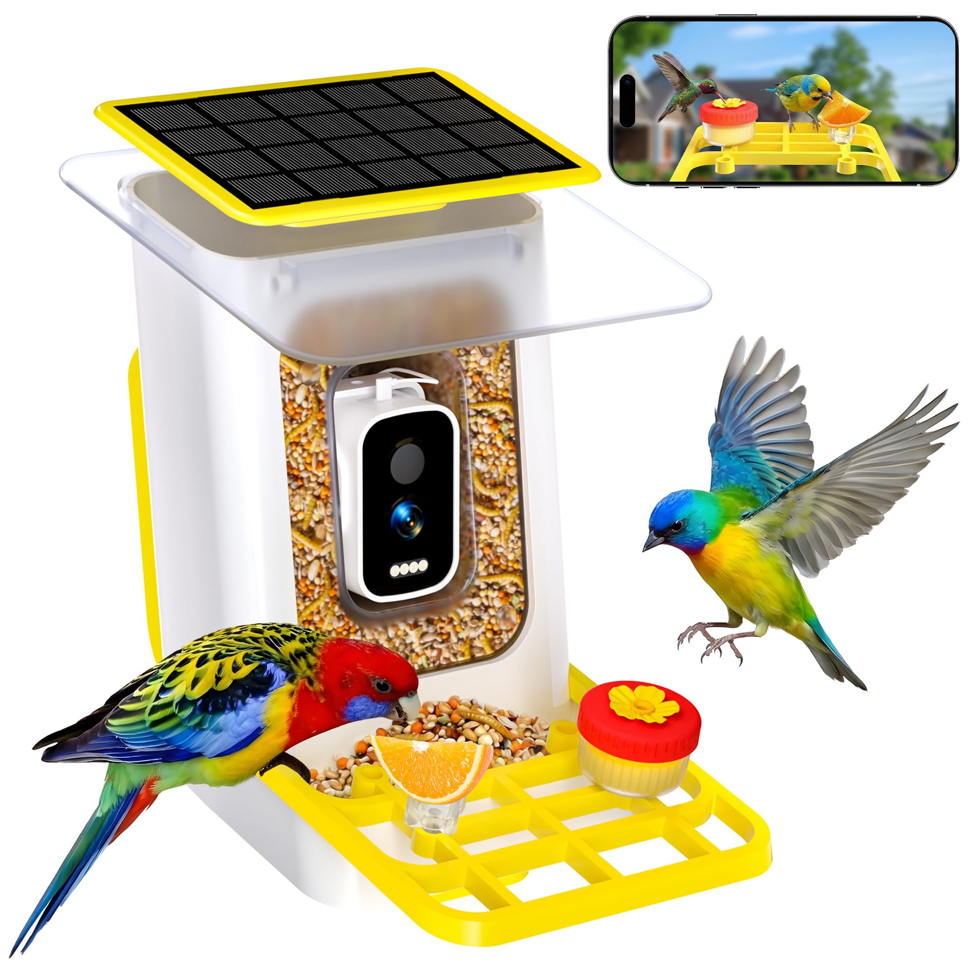 Vogelfutterstation mit Kamera, intelligente KI-Identifizierung von Vögeln mit solarbetriebener, kabelloser automatischer Aufzeichnung von 5 m HD-Vogelvideos im Hinterhof, sofortige
