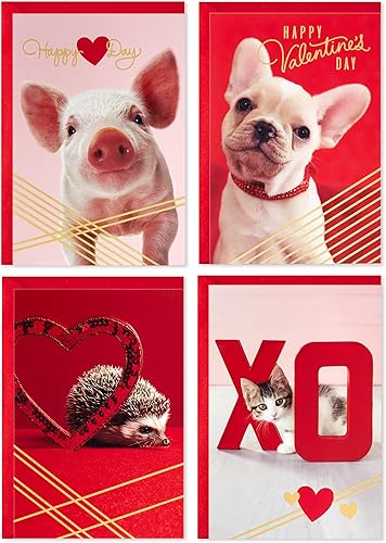 Hallmark Surtido de tarjetas para el dĂa de San ValentĂn, 24 tarjetas y sobres (cachorro, gatito, cerdo, erizo) Hallmark Surtido de tarjetas para el dĂa de San ValentĂn, 24 tarjetas y sobres (cachorro, gatito, cerdo, erizo)