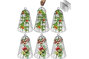 Sapbontchi Garden Cloches for Plants Extra Large