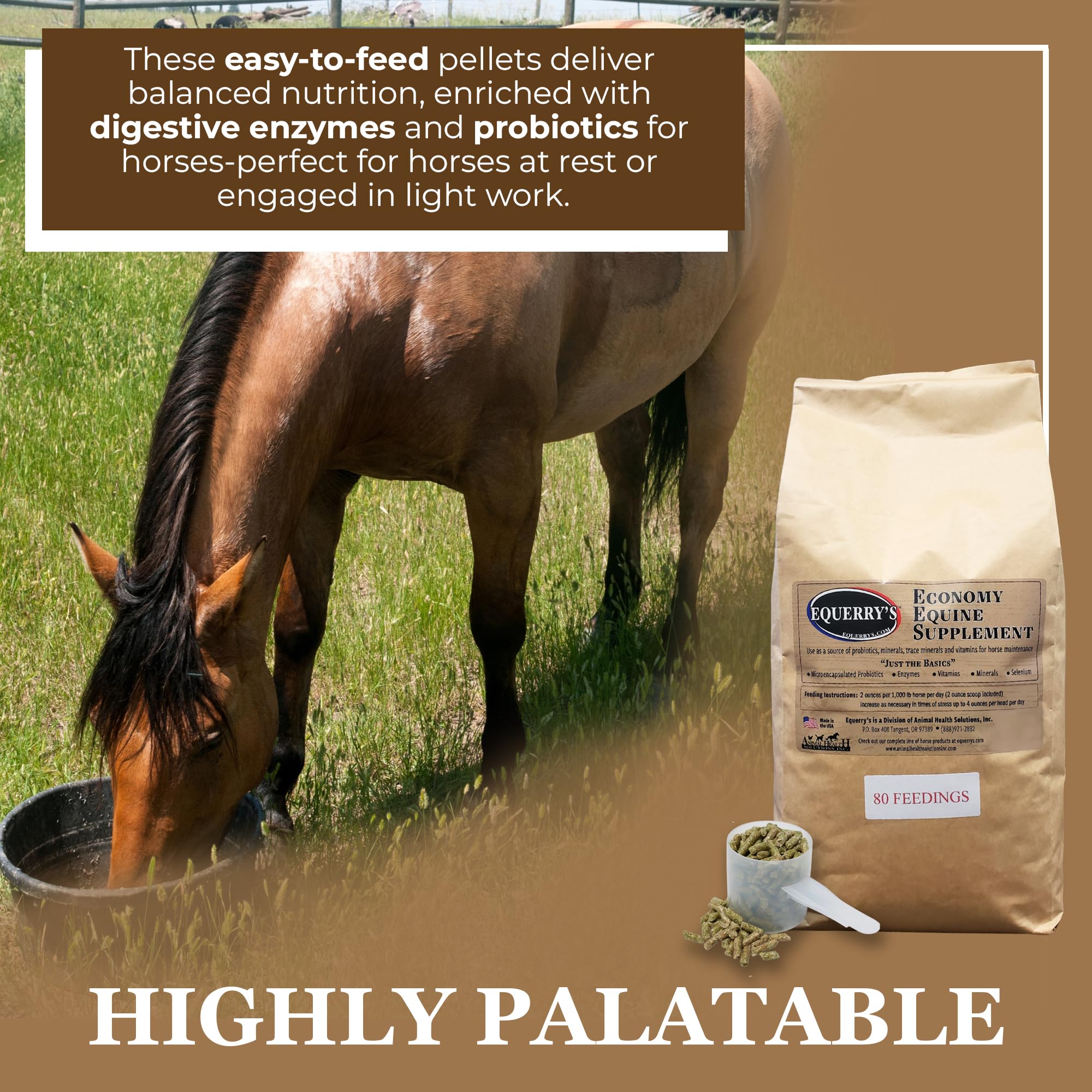 Equerry's Economy Equine Supplement - Horse Probiotics | Supplement for Horses | Horse Vitamins and Minerals Supplement with Enzymes and Selenium, 10lb — Amazon image 3