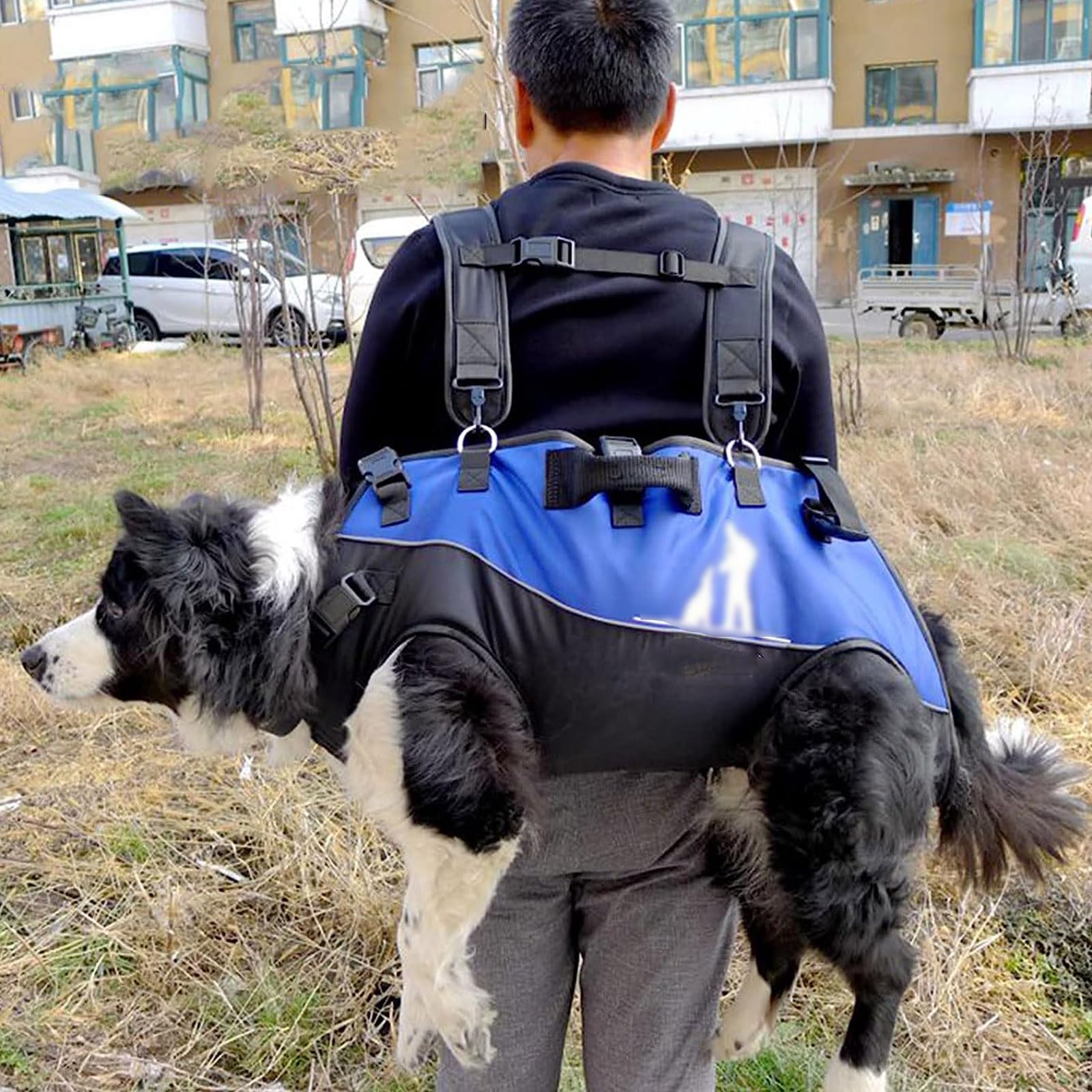 Genérico Mochila para Perros con Correa Pectoral Ajustable, De 15 A 40 Kg, con Soporte para Lesiones Articulares, Adecuada para Senderismo Y Montañismo Al Aire Libre (Blue)