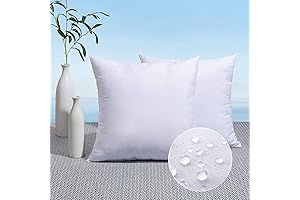 MIULEE 18x18 Inch Outdoor Throw Pillows Insert - Pack of 2