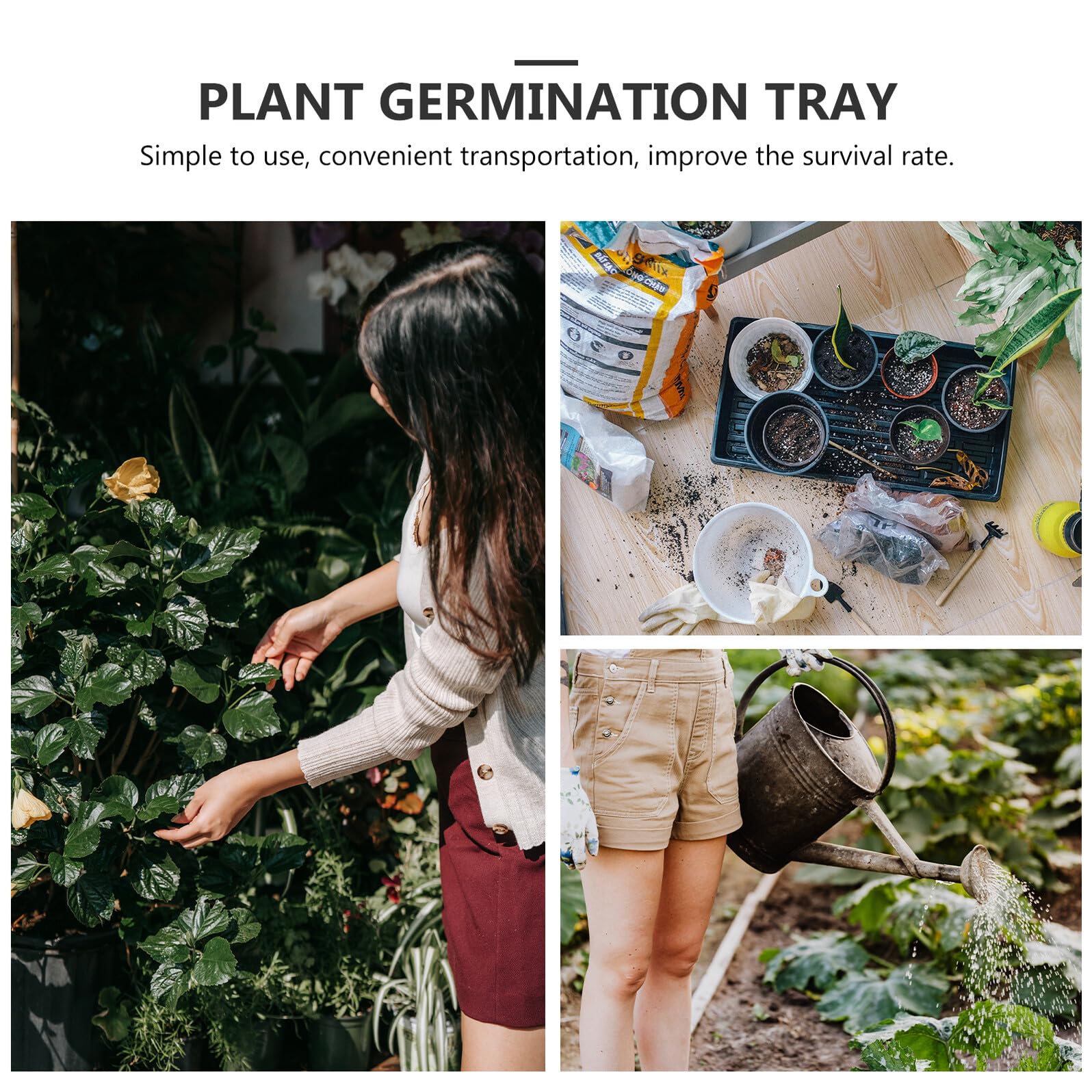 Homoyoyo Set 6 Pezzi Vassoi Semina in Plastica Neri per Germinazione Piante Fondo Cavo, Semplice da Usare e Alta capacità di Supporto, per Coltivazione e Crescita