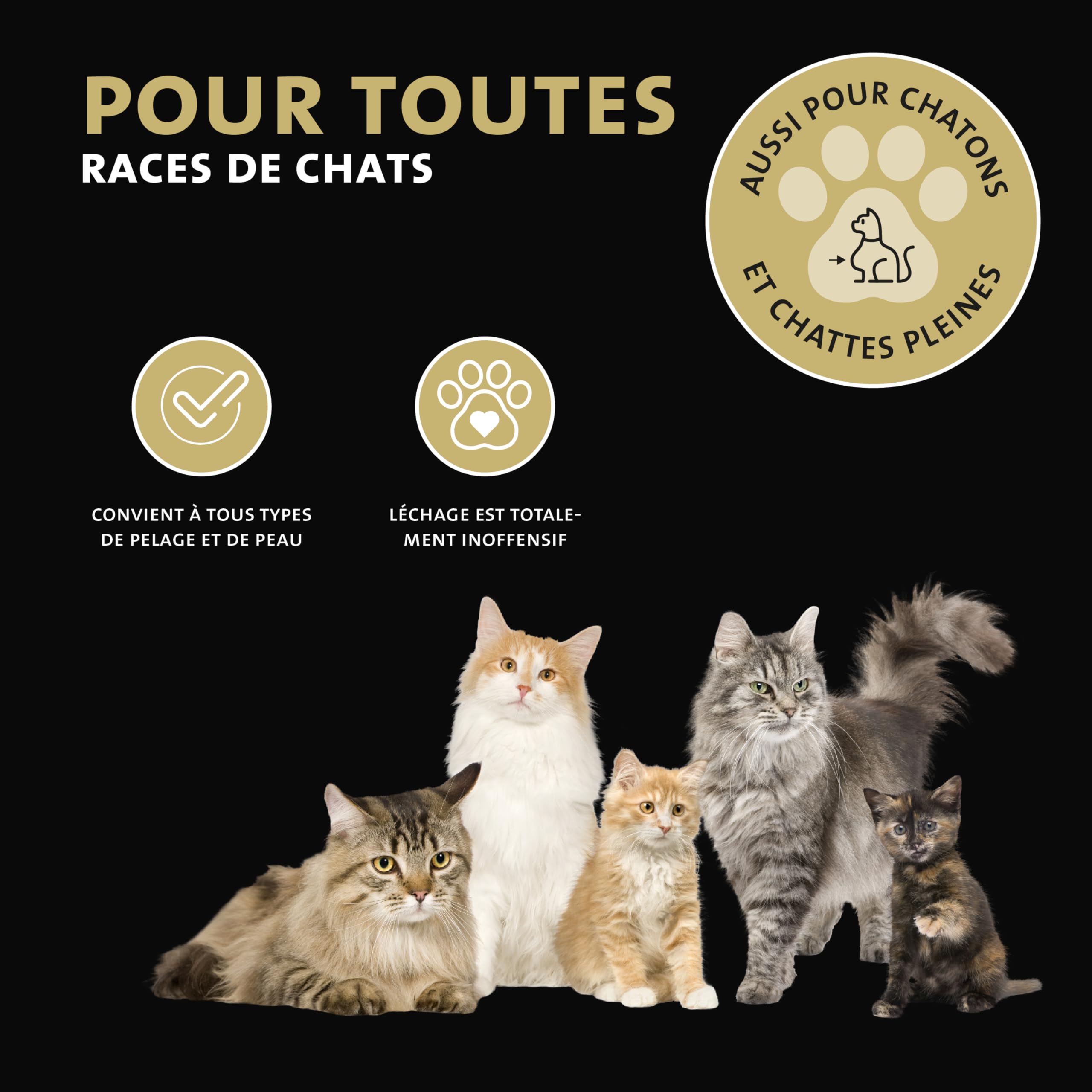 Peticare Chat Traitement Anti-Acariens des Oreilles - Nettoyant Auriculaire, Gouttes Efficaces Contre Parasites, Soulage Inflammation, Solution Démangeaisons de l'oreille - petCat Health 3011