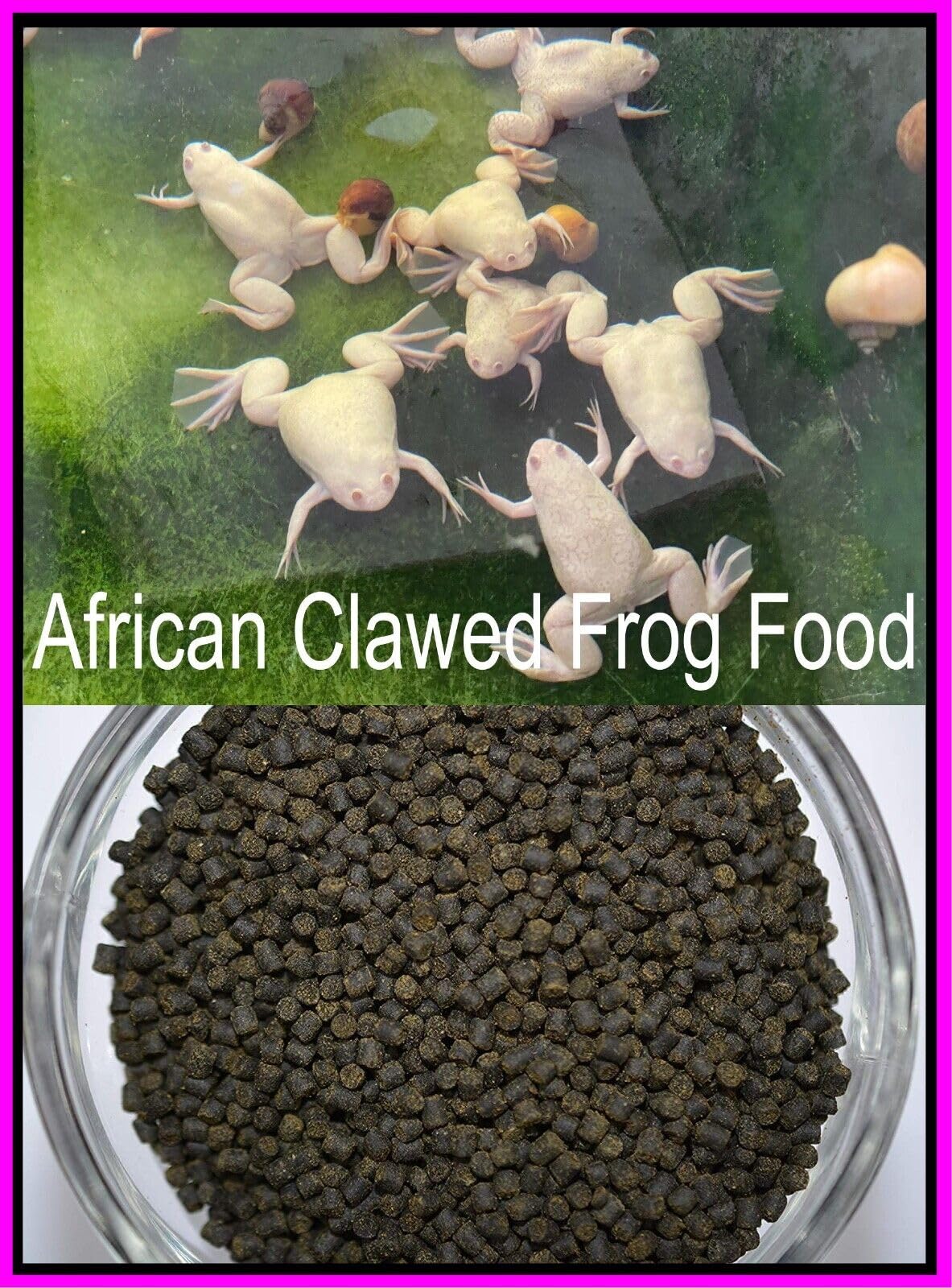African Aquatic Clawed Frog Soft Bits (Squid & Krill 3.2mm Soft Pellet, 6oz)