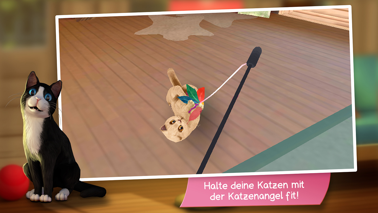 CatHotel - Spiele, schmuse und pflege niedliche Katzen und Kater