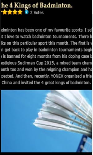 Badminton Record Info