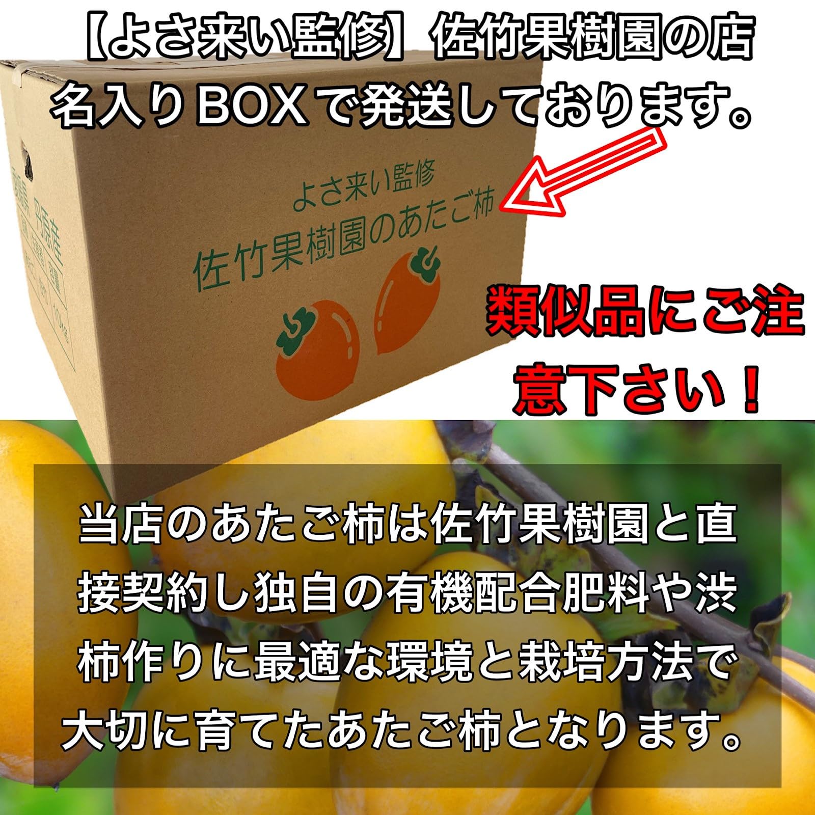 Amazon.co.jp: 柿 かき あたご柿 渋柿 干柿用渋柿 《佐竹果樹園の