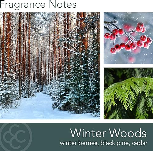 Vista 79 de Colonial Candle Vela perfumada en frasco, cilindros clásicos, brillo navideño, 2 mechas, 19 onzas, morado