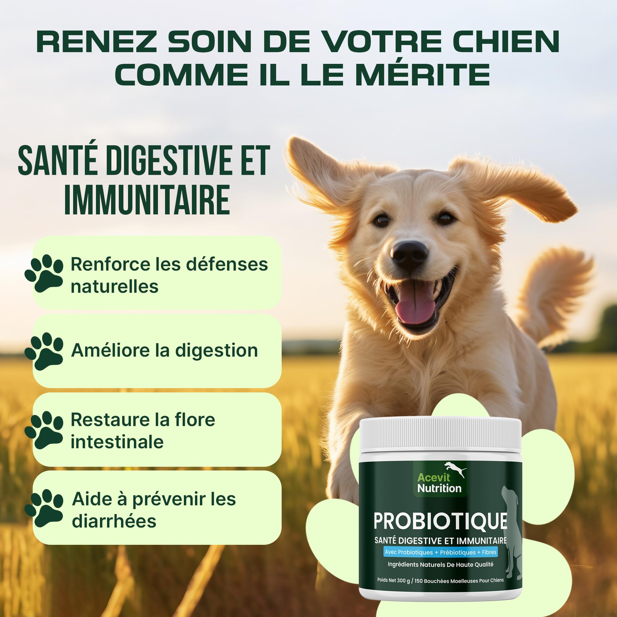 Probiotique Chien, 150 bouchées, 100% Naturel + Prébiotiques et Fibres, Flore Intestinale et Digestion – Diarrhée, Gaz, Vomissements – Soutien Immunitaire, Prévient Maladies, Formule Vétérinaire