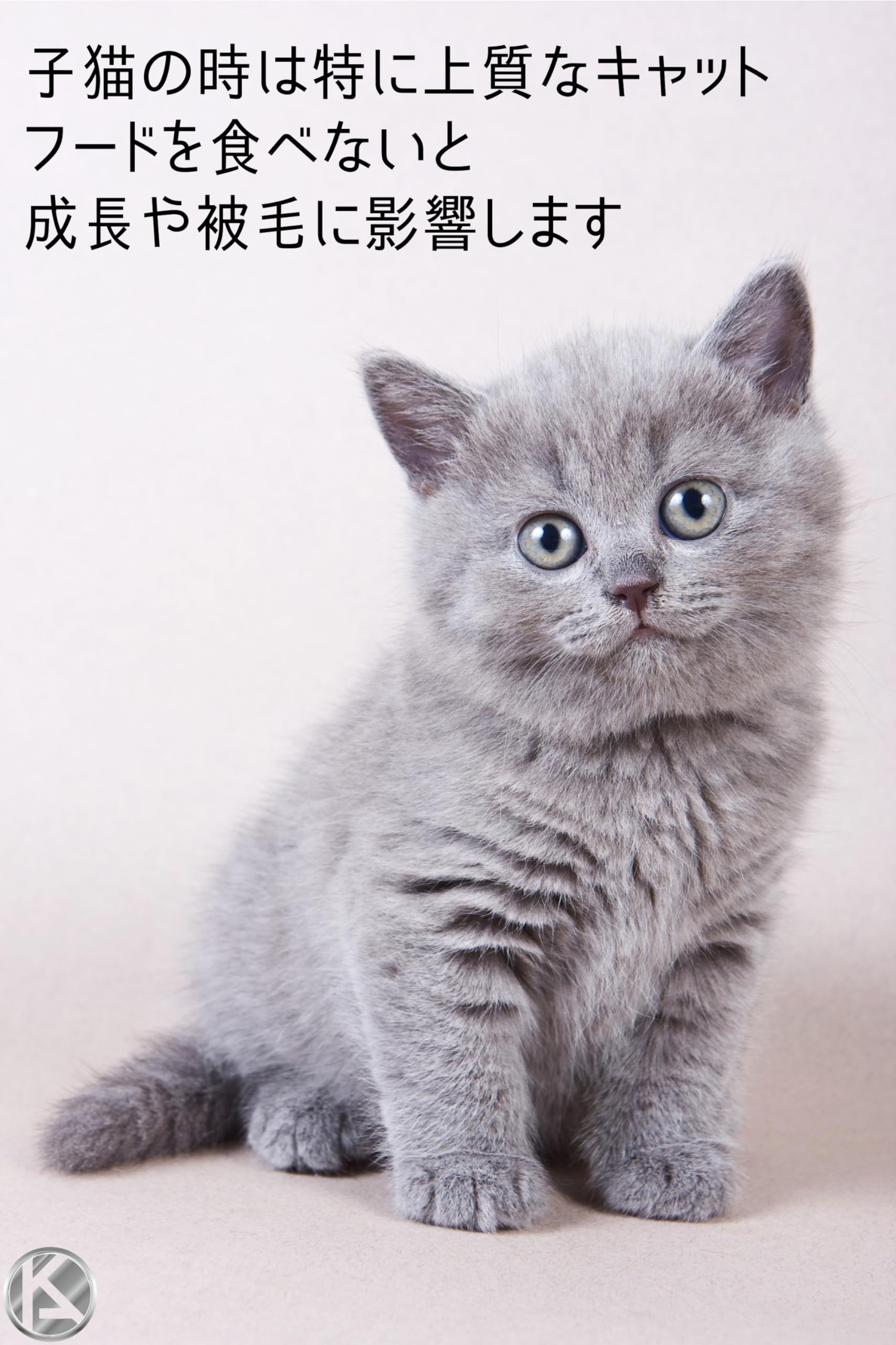 Amazon | 【 400g 1個 】 ロイヤルカナン キトン ドライフード 成長 