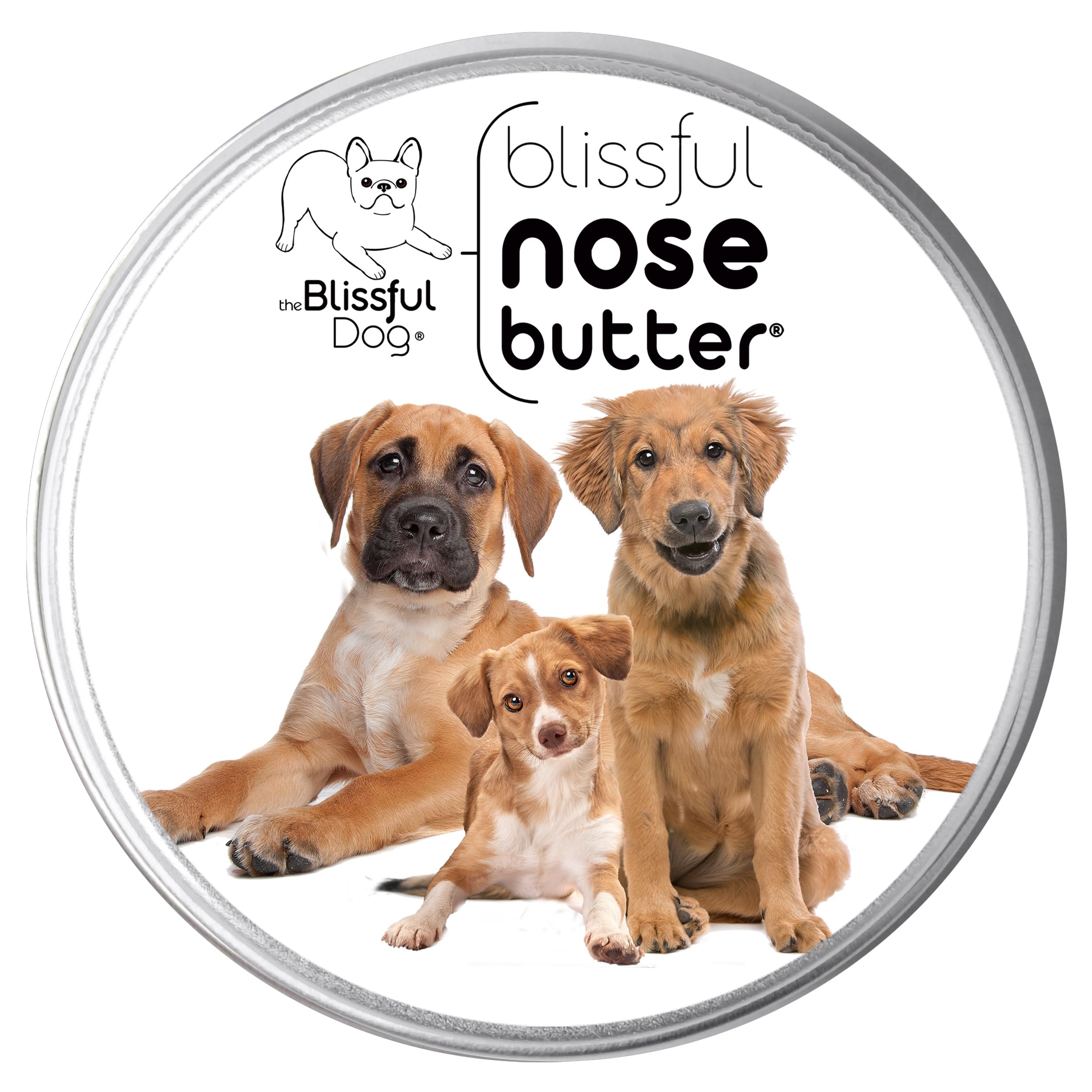 The Blissful Dog 3 Cute Puppies Nose Butter, Versatile Dog Nose Balm for Dry Nose, Handcrafted Nose Moisturizer, Easy-to-Apply Dog Essentials, Unscented, 2 oz.