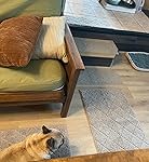 Review Image by DARZWORLD DARZWORLD