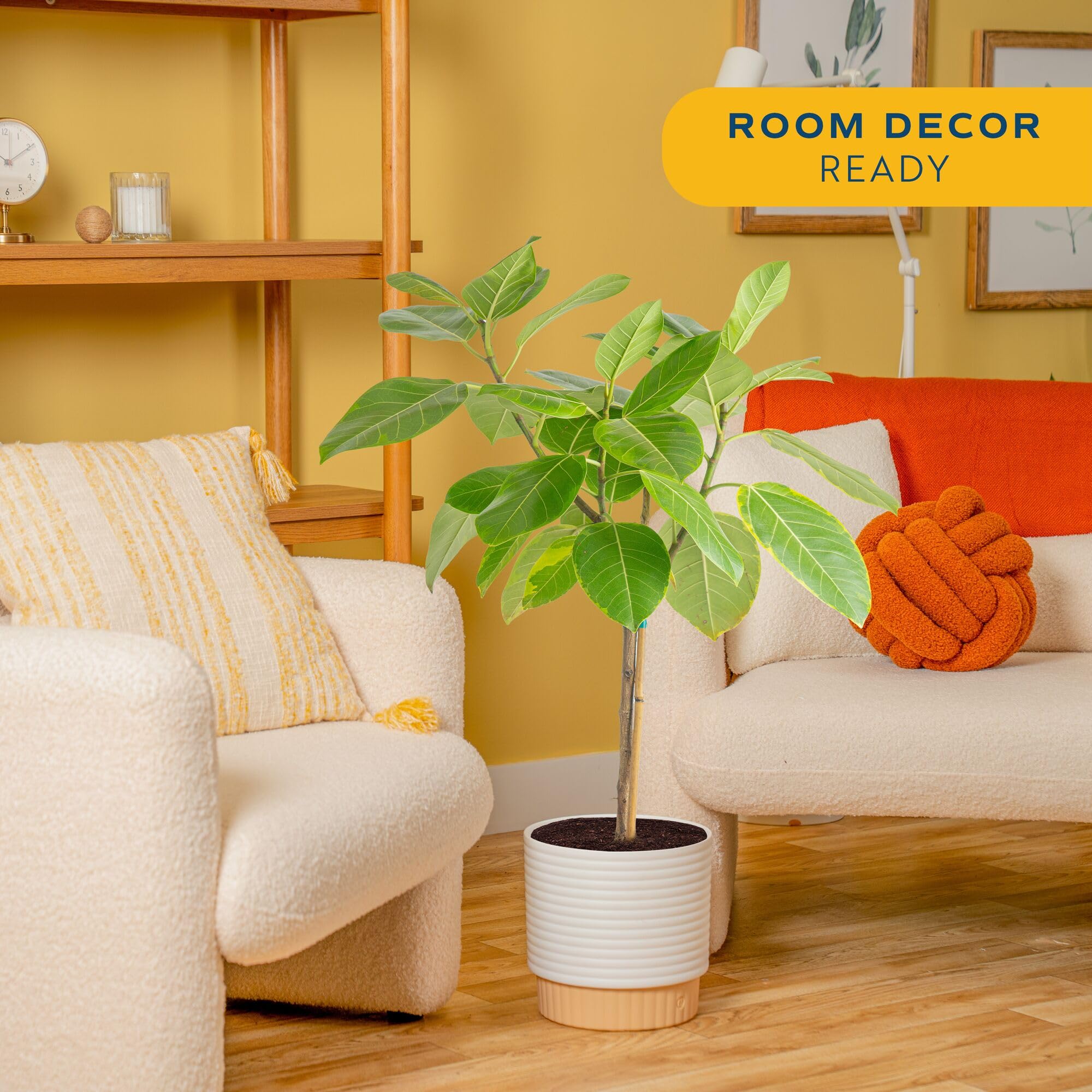 indoor planter with stand 13" Ceramic Planter with UPshining Wood Stand White / Special Walnut