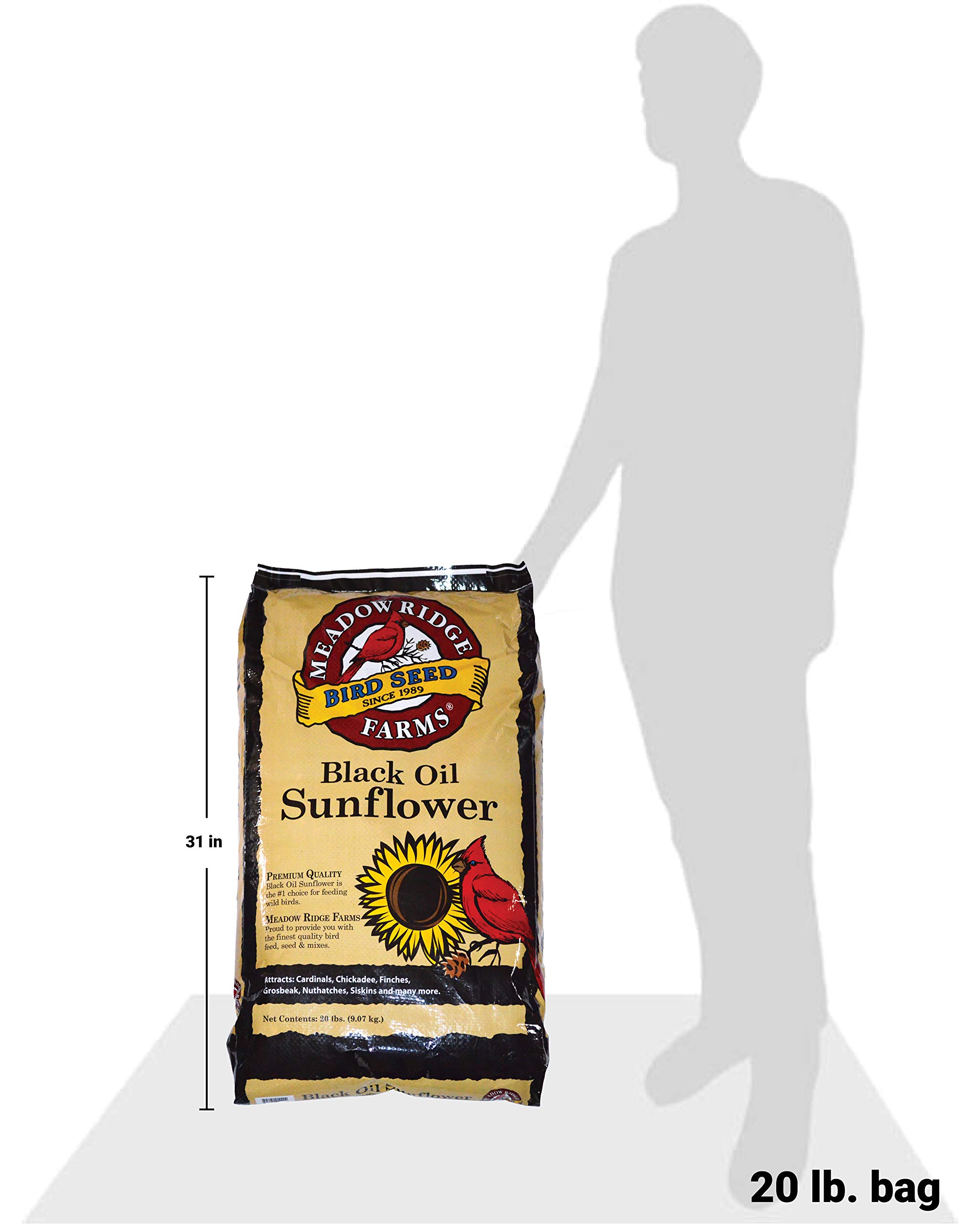 Black Oil Sunflower Bird Seed, 20-Pound Bag - Detailed View