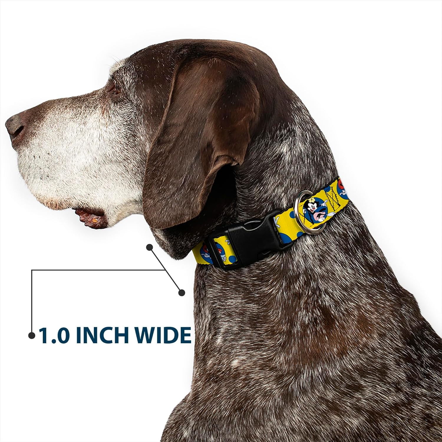 Animaniacs Pet Collar, Dog Collar Plastic Buckle, Animaniacs Yakko Wakko and Dot Poses Yellow, 20 to 31 Inches 1.5 Inch Wide