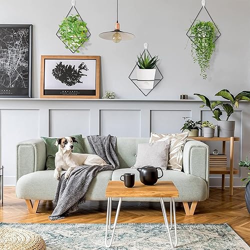 Miniatura 2 de 3 juegos de macetas de pared para plantas de interior, maceta colgante de pared con soporte de metal negro, macetas geométricas de pared con riego